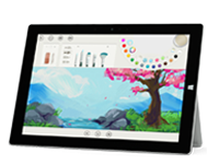 赫章Surface 无法开启、Windows 无法启动或电池无法充电